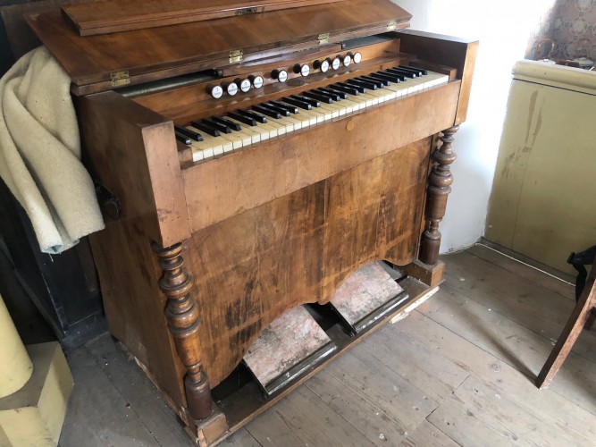 harmonium Nová synagoga